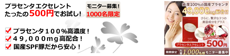 �u�v���Z���^ �G�N�Z�����g�v500�~���j�^�[���T�C�g